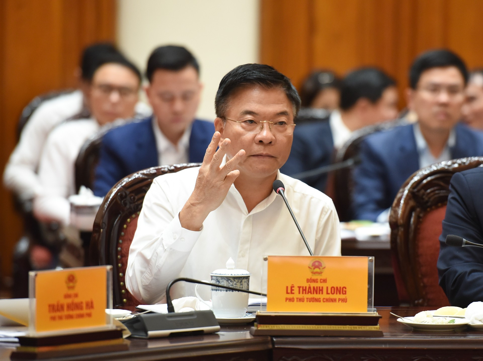 El viceprimer ministro Le Thanh Long habla en la cita.