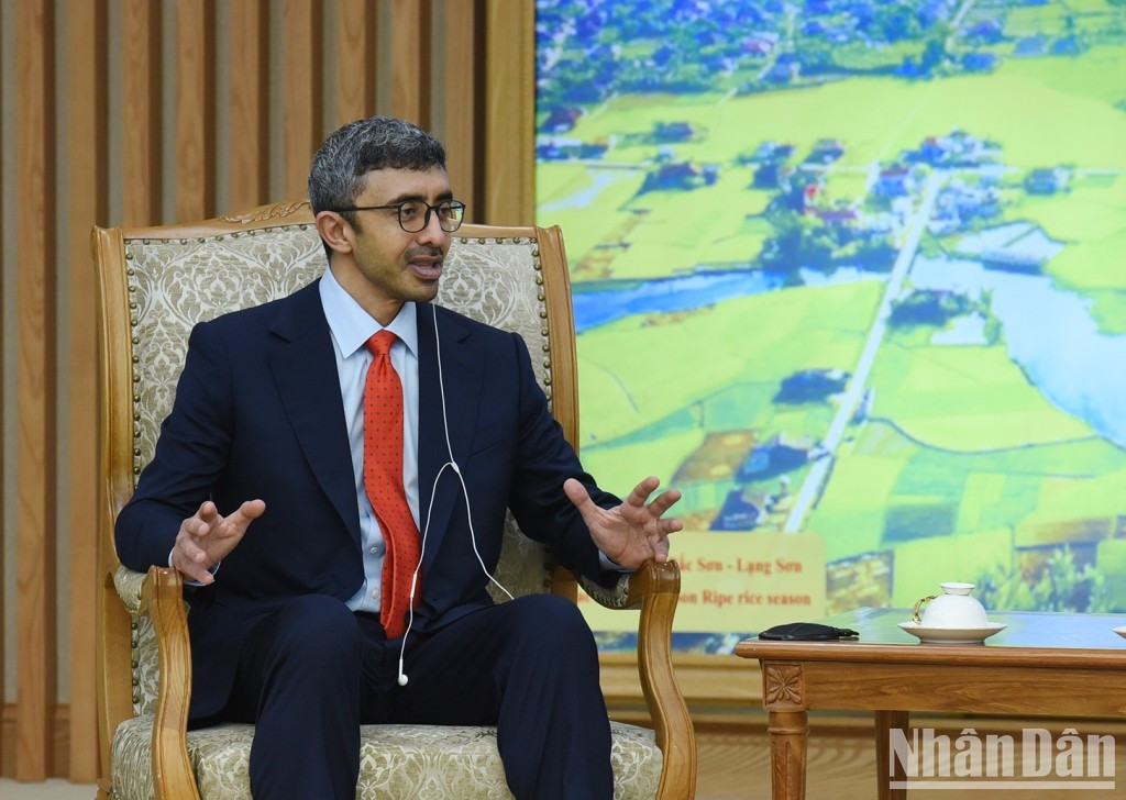 El ministro de Relaciones Exteriores de los Emiratos Árabes Unidos, Sheikh Abdullah bin Zayed Al Nahyan presenta su opinión.