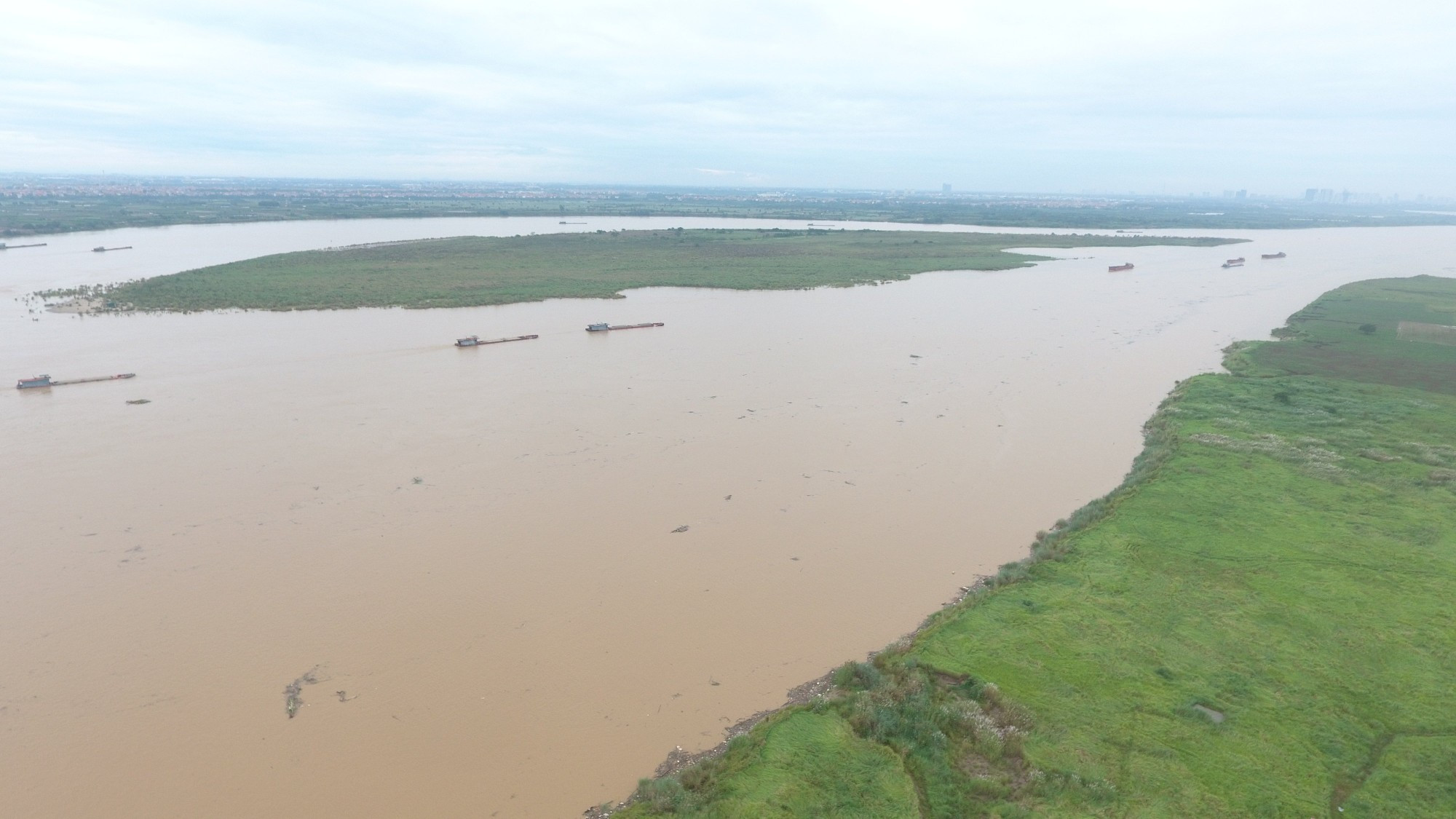 La sección del río Rojo que atraviesa Hanói tiene unos 120 kilómetros de largo y baña 17 distritos y comunas con numerosas marismas. Este es el hábitat de muchos animales salvajes, especialmente especies de ave. (Foto: Centro para la Conservación y Desarrollo de la Naturaleza) La sección del río Rojo que atraviesa Hanói tiene unos 120 kilómetros de largo y baña 17 distritos y comunas con numerosas marismas. Este es el hábitat de muchos animales salvajes, especialmente especies de ave. (Foto: Centro para la Conservación y Desarrollo de la Naturaleza)