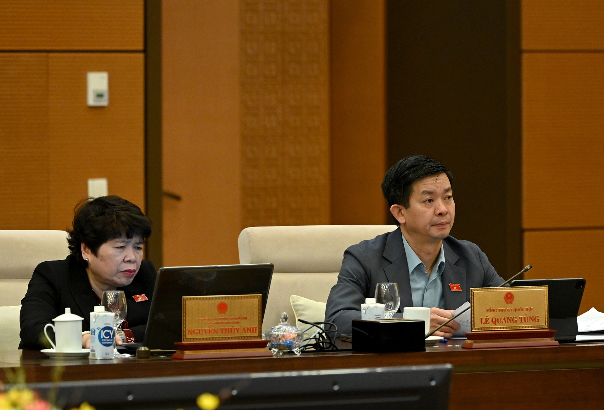 Miembros del Comité Permanente de la ANV en la conferencia. Miembros del Comité Permanente de la ANV en la conferencia.