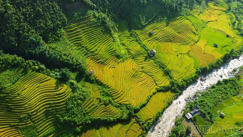 baolaocai_namcang (10).jpg