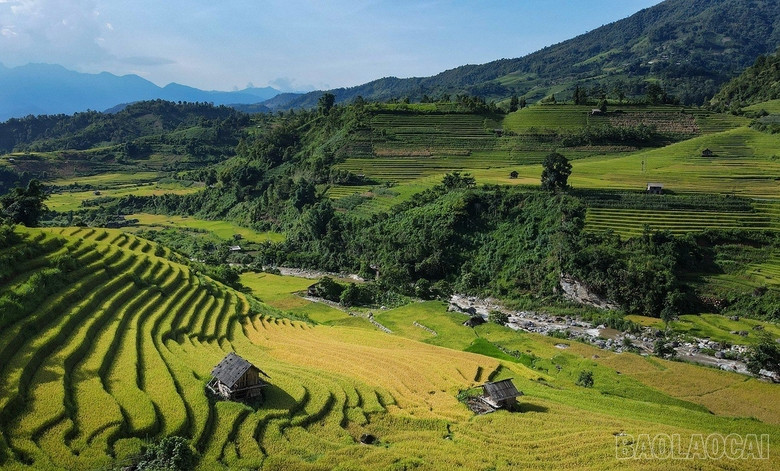 baolaocai_namcang (7).jpg