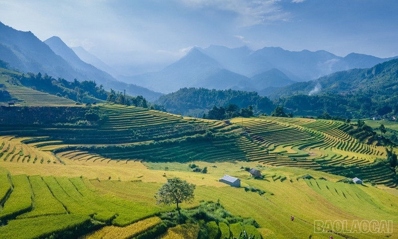 baolaocai_namcang (8).jpg