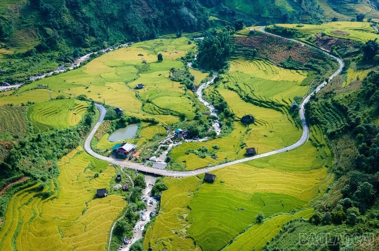 baolaocai_namcang (2).jpg