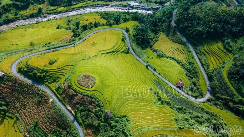 baolaocai_namcang (4).jpg