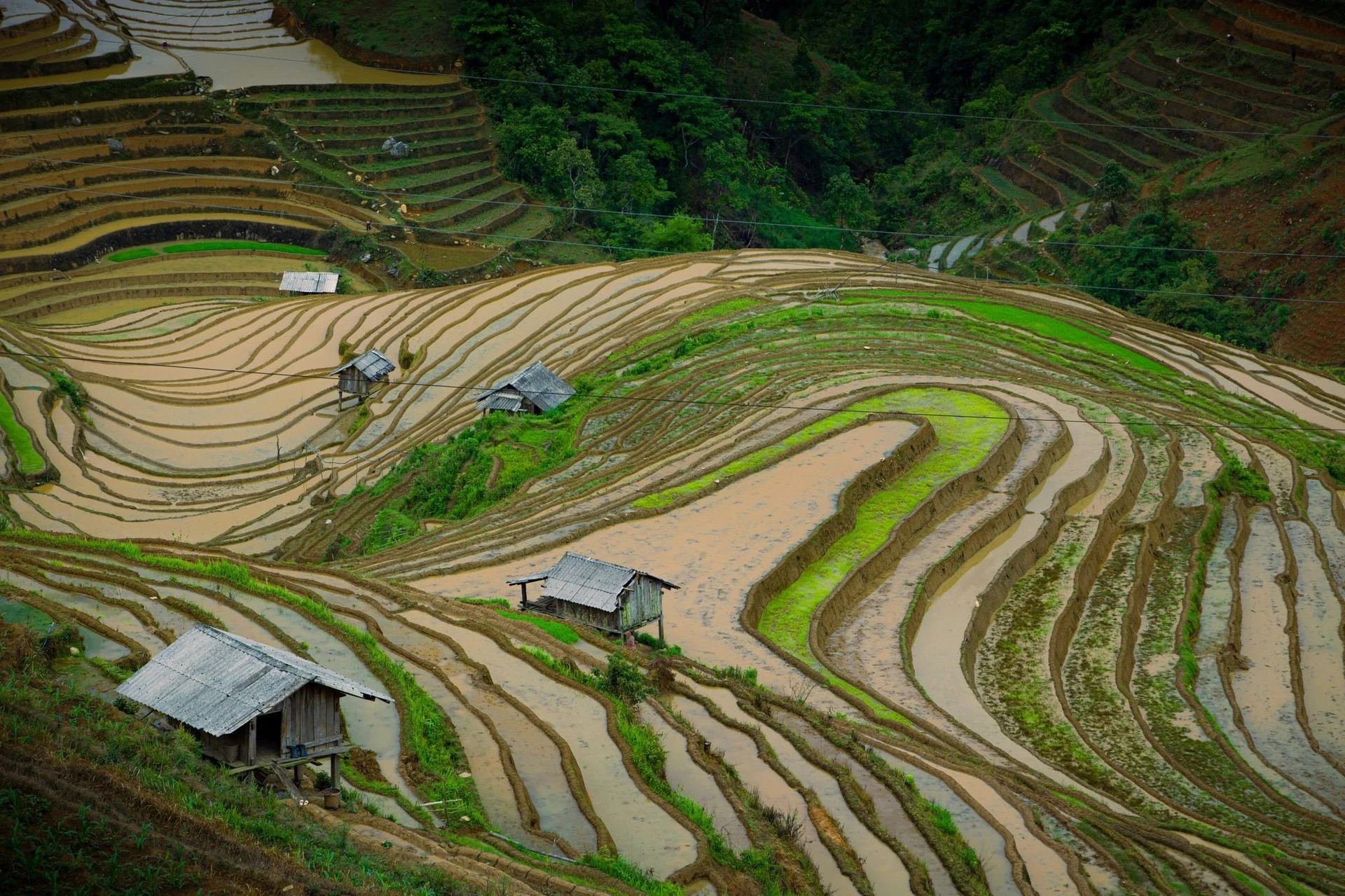 La temporada de lluvias no es tan colorida como la cosecha de arroz ni tan animada como las festividades, pero ofrece una belleza pura y serena.