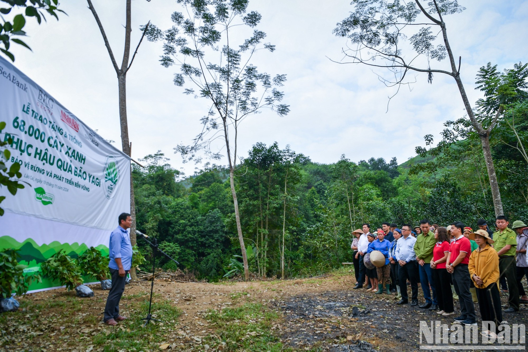Un acto de entrega y plantación de 68 mil árboles por parte del periódico Nhan Dan y sus socios a la provincia de Lao Cai para mitigar las consecuencias causadas por el tifón Yagi. Un acto de entrega y plantación de 68 mil árboles por parte del periódico Nhan Dan y sus socios a la provincia de Lao Cai para mitigar las consecuencias causadas por el tifón Yagi.