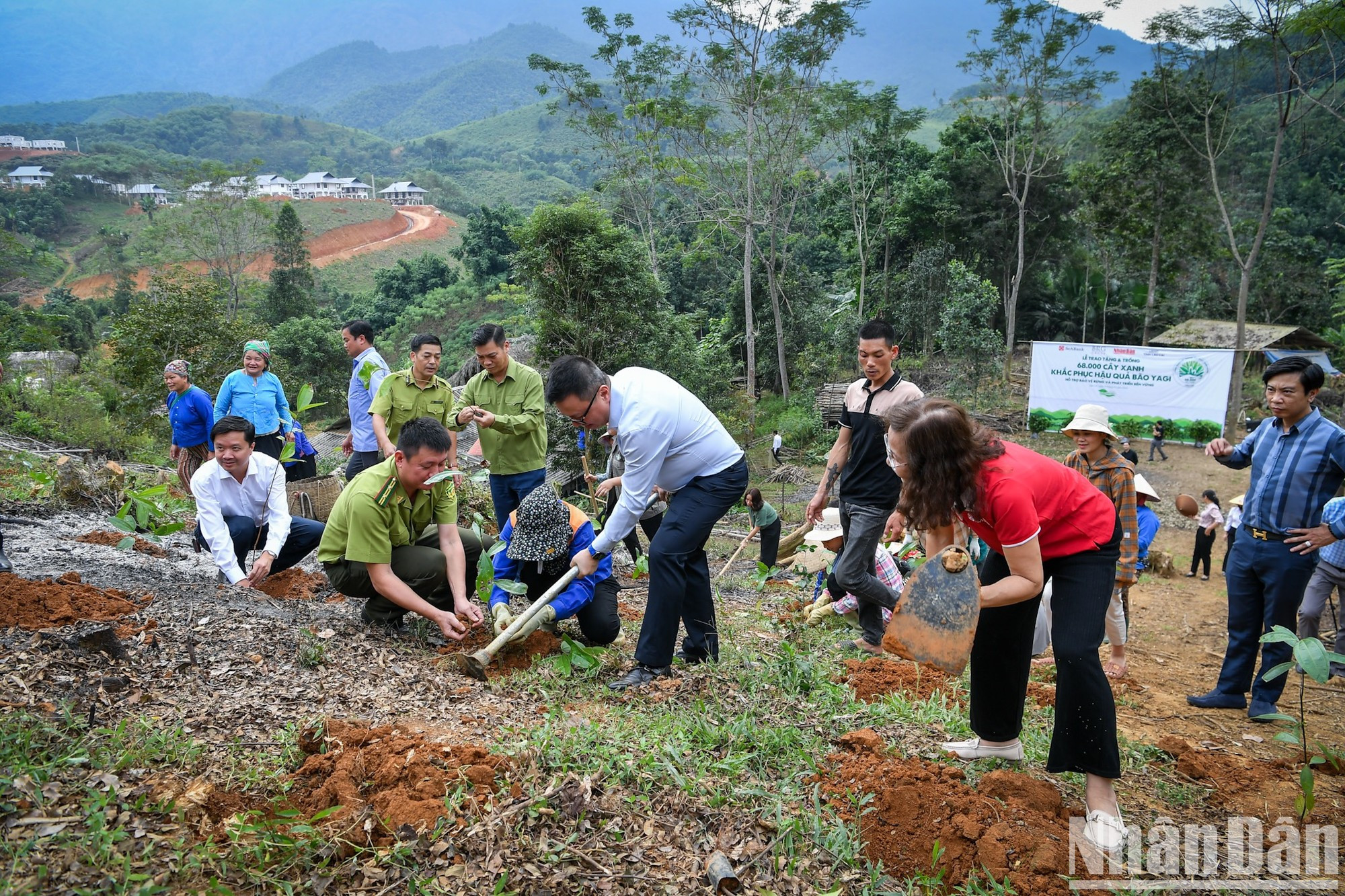 El presidente-editor de Nhan Dan, Le Quoc Minh, planta un árbol. El presidente-editor de Nhan Dan, Le Quoc Minh, planta un árbol.