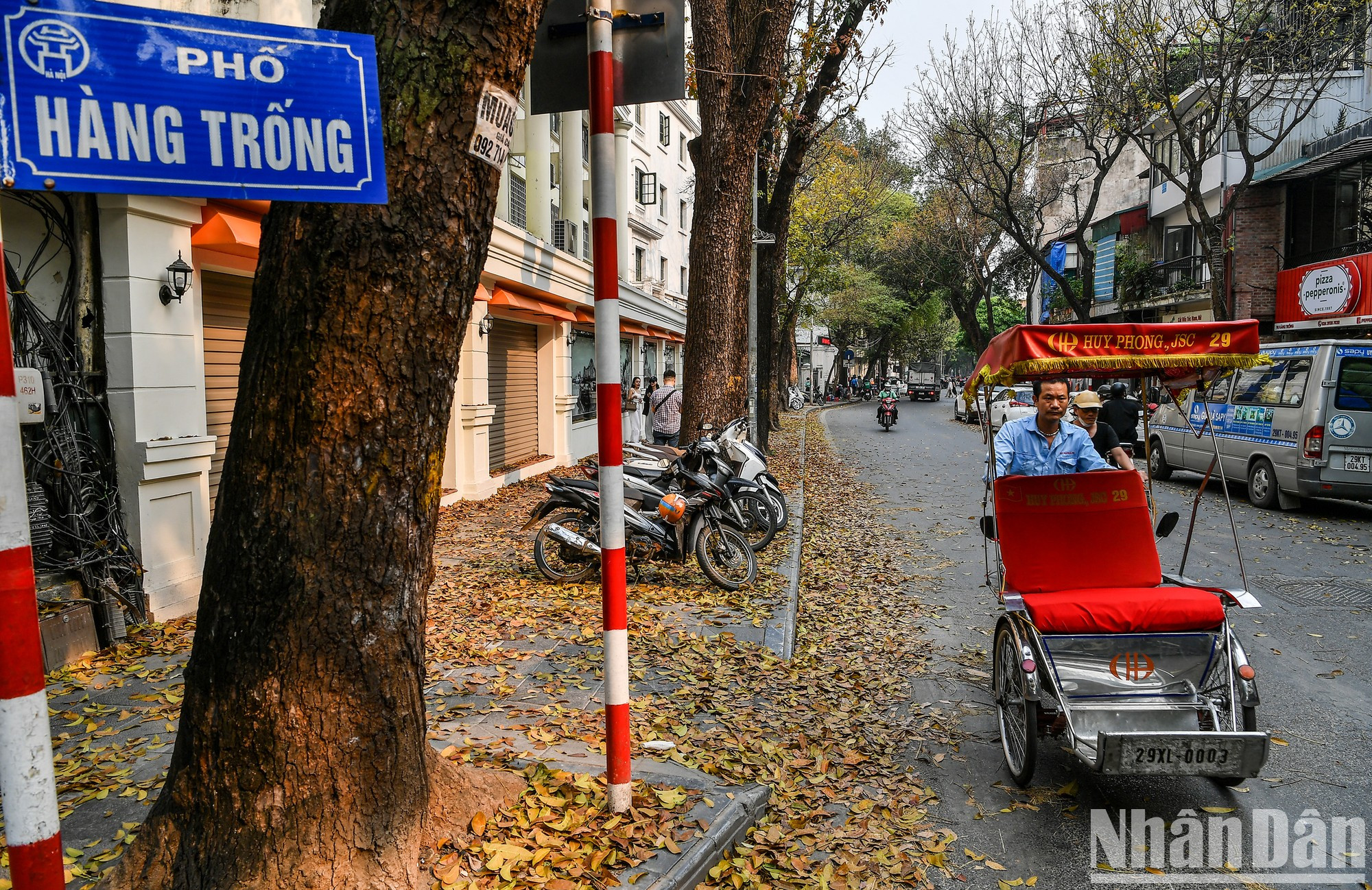 Las imágenes de Hanói antiguo en la pared y la calle cubierta de hojas amarillas crean una escena romántica en medio de las bulliciosas calles. Las imágenes de Hanói antiguo en la pared y la calle cubierta de hojas amarillas crean una escena romántica en medio de las bulliciosas calles.