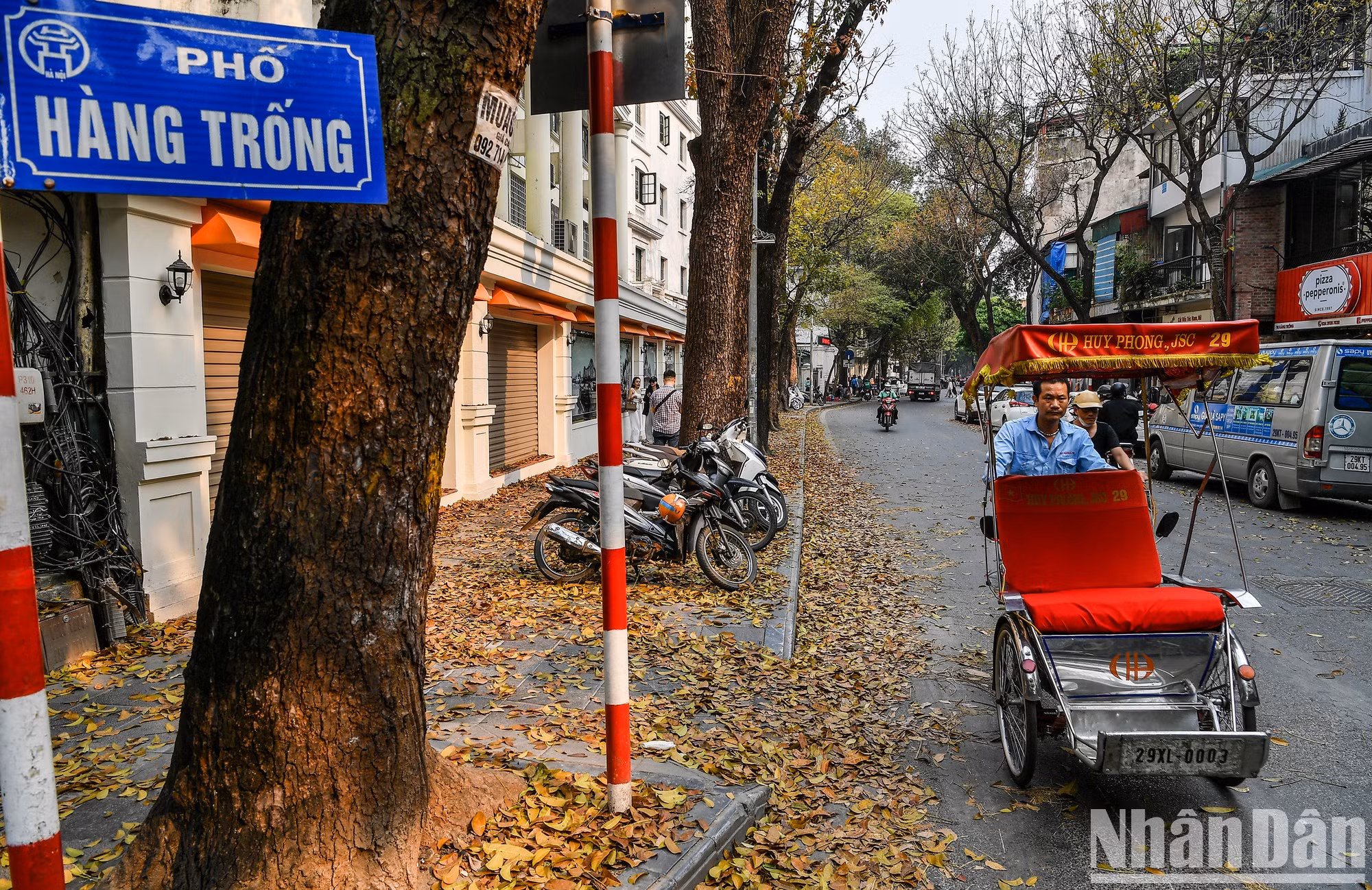 Las imágenes de Hanói antiguo en la pared y la calle cubierta de hojas amarillas crean una escena romántica en medio de las bulliciosas calles. Las imágenes de Hanói antiguo en la pared y la calle cubierta de hojas amarillas crean una escena romántica en medio de las bulliciosas calles.