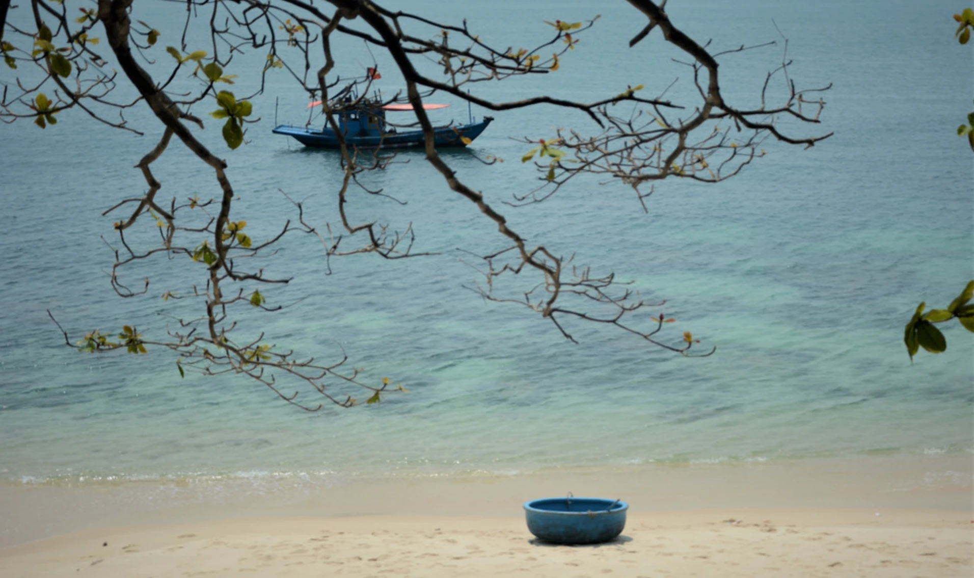 Belleza salvaje de la isla de Son Cha en Da Nang con gran potencial para el ecoturismo