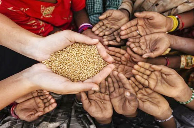 Inquietudes ante la inseguridad alimentaria en África