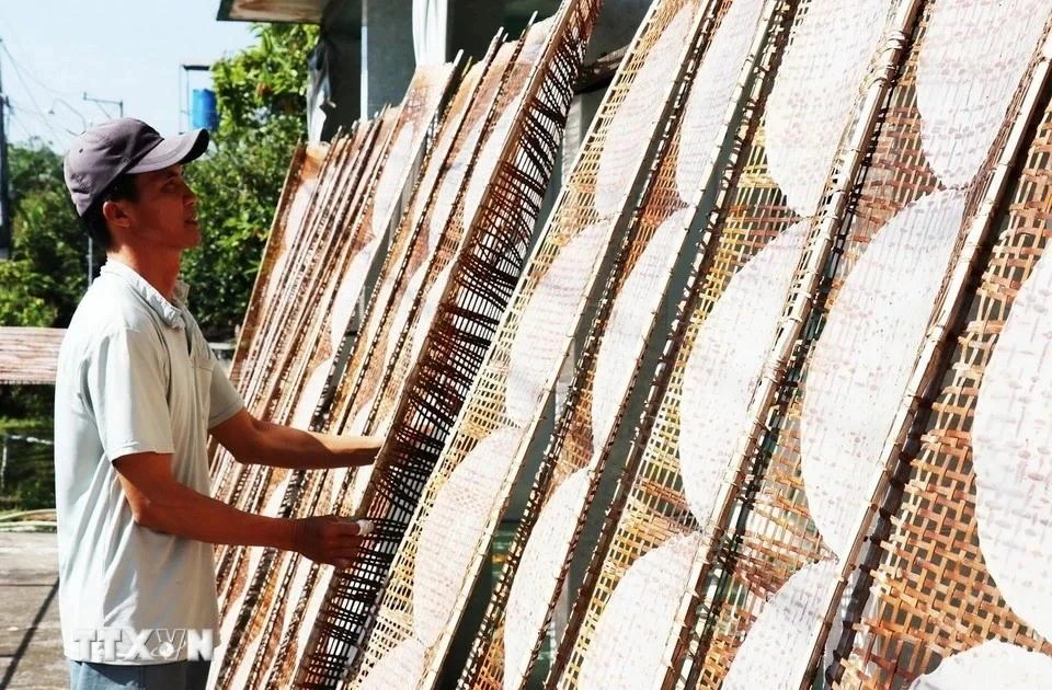 Aldea de elaboración de panqueque de arroz seco aumenta su producción con motivo del Tet