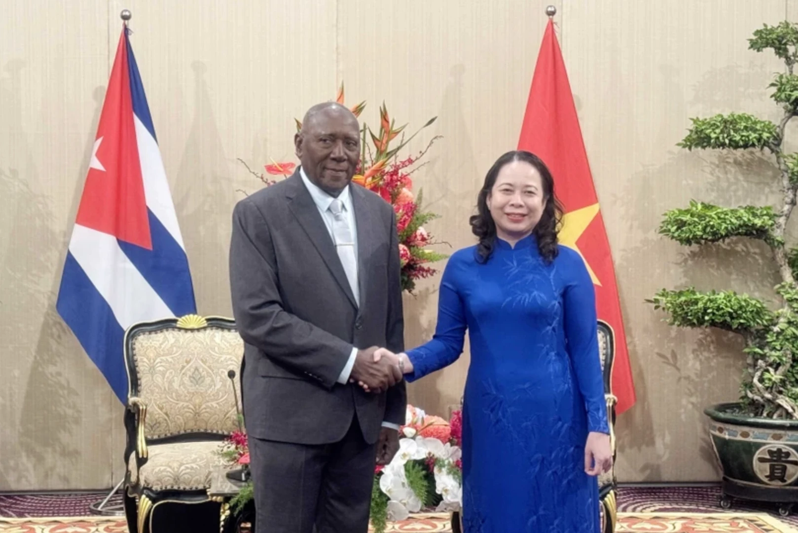 La vicepresidenta de Vietnam, Vo Thi Anh Xuan, recibe al miembro del Buró Político y vicepresidente de Cuba, Salvador Valdés Mesa. (Foto: VNA)