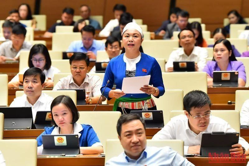 La delegada de la provincia de Hoa Binh, Dang Bich Ngoc habla en la reunión. 