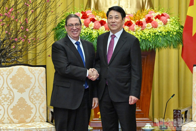 El presidente de Vietnam, Luong Cuong (derecha), y el enviado especial del Partido Comunista y del Estado cubano, Bruno Rodríguez Parrilla. (Foto: Nhan Dan)