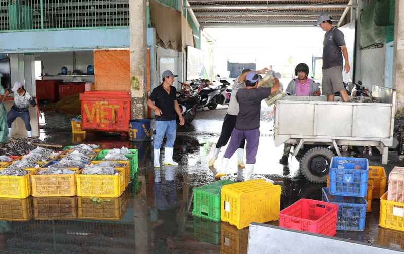 Durante la temporada de pesca, el puerto pesquero de Vam Lang, en la provincia de Dong Thap, da empleo a un gran número de trabajadores locales. (Foto: VNA)