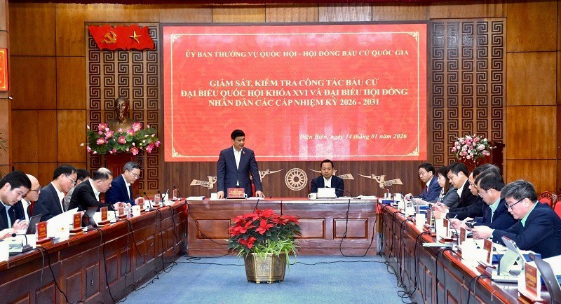 El vicepresidente de la Asamblea Nacional de Vietnam Vu Hong Thanh interviene en la actividad. (Foto: Nhan Dan)