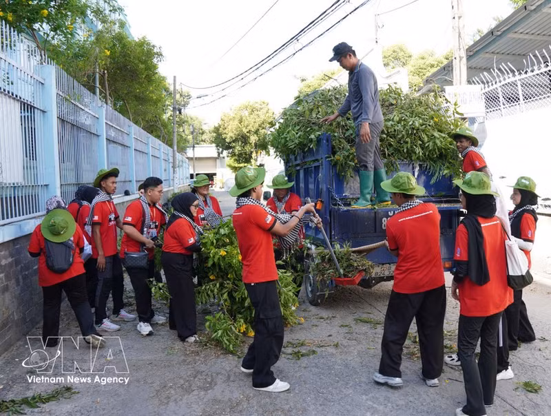 Estudiantes voluntarios malasios participan en la recolección de ramas de árboles en el barrio de Trung My Tay. (Foto: VNA)