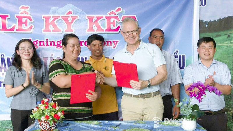 Thi Khui, directora de la Cooperativa Agrícola de Anacardo Orgánico Trang Co Bu Lach, firma un acuerdo de cooperación un representante de la empresa Intersnack Vietnam. (Foto: Periódico Dong Nai)