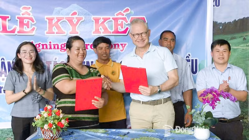 Thi Khui, directora de la Cooperativa Agrícola de Anacardo Orgánico Trang Co Bu Lach, firma un acuerdo de cooperación un representante de la empresa Intersnack Vietnam. (Foto: Periódico Dong Nai)
