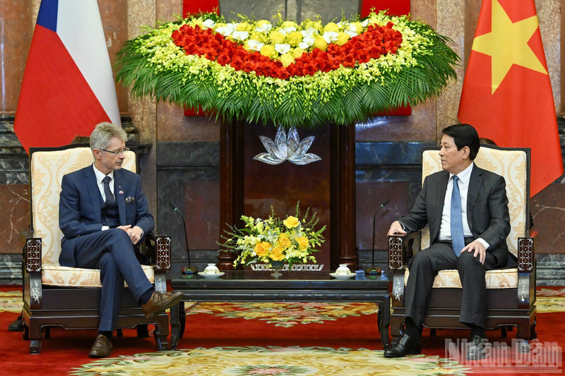 Reunión entre el presidente de Vietnam, Luong Cuong, y el titular del Senado de la República Checa, Milos Vystrcil. (Foto: Nhan Dan)