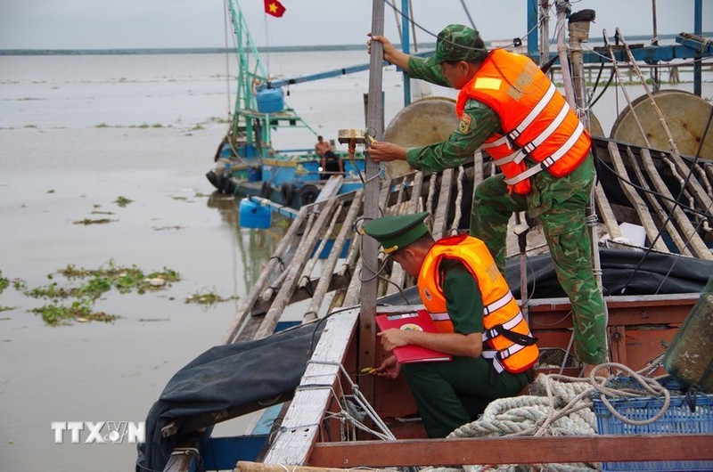 Dong Thap supervisa de cerca la actividad de barcos pesqueros. (Foto: VNA)