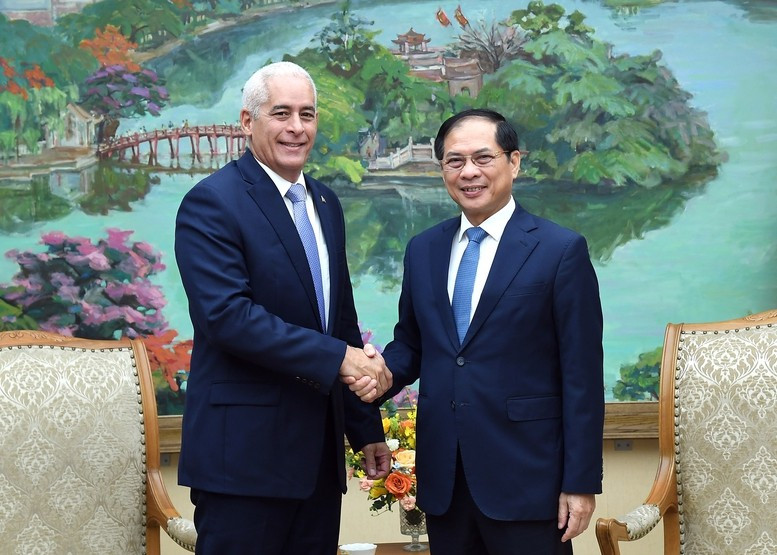 El viceprimer ministro y titular de Relaciones Exteriores de Vietnam, Bui Thanh Son (derecha), recibe a Gerardo Peñalver Portal, viceministro primero de Relaciones Exteriores de Cuba. (Foto: VGP)