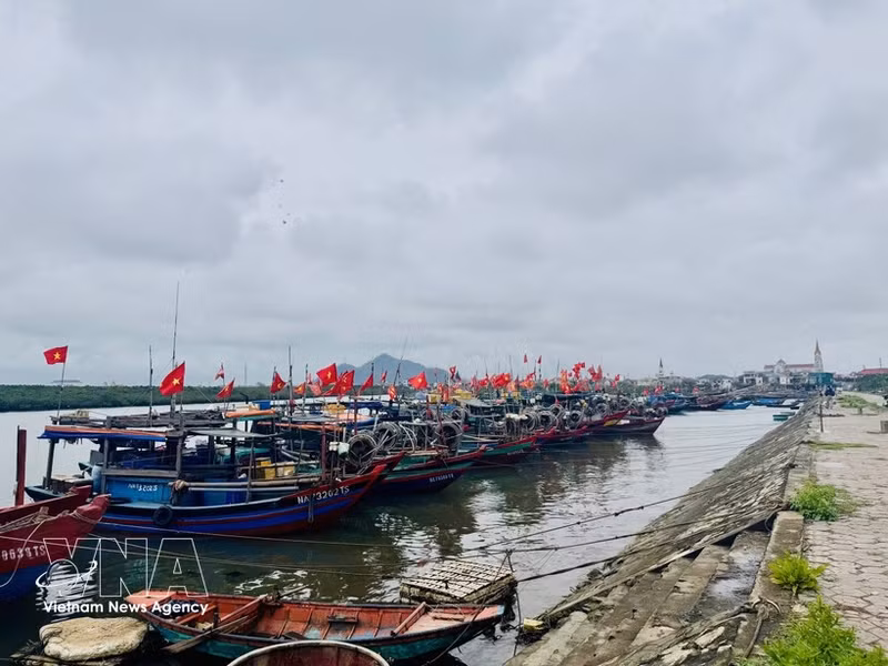 La provincia de Ha Tinh refuerza la gestión comunitaria para combatir la pesca ilegal. (Foto: VNA)