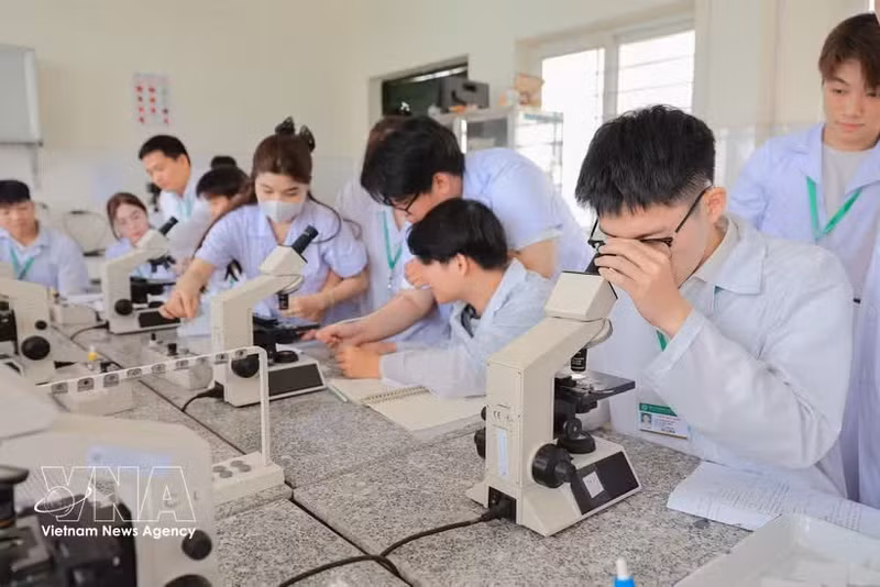 Estudiantes practican el examen y el recuento de células sanguíneas para el diagnóstico clínico en el ganado utilizando un microscopio óptico. (Foto: VNA)