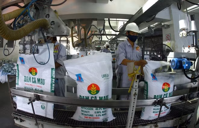 Las exportaciones de Vietnam a Angola se centran principalmente en rubros como arroz, productos textiles y fertilizantes. En la foto, empaquetado de fertilizantes en la empresa Ca Mau de Fertilizantes.