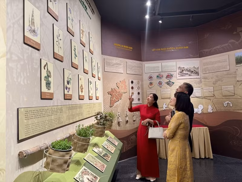 Visitantes a la exposición. (Foto: VNA)