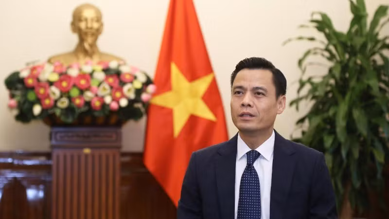 El viceministro de Relaciones Exteriores de Vietnam Dang Hoang Giang. (Foto: VNA)