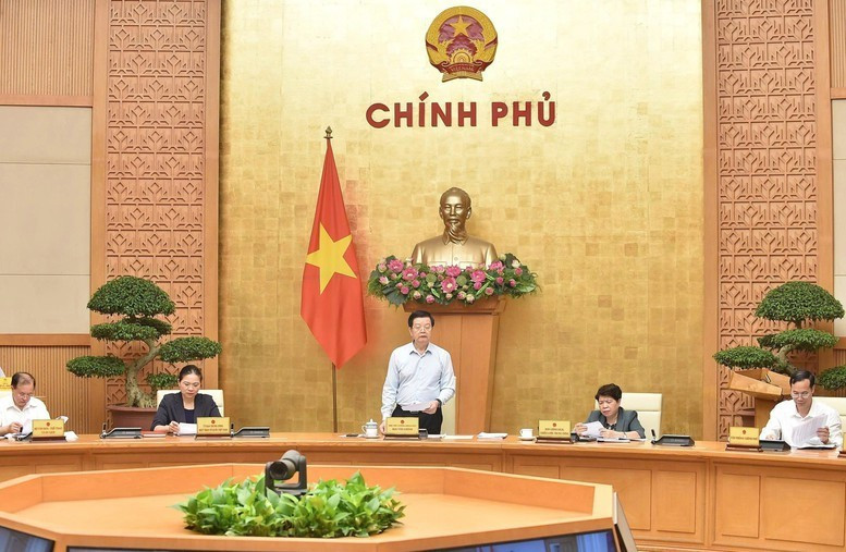 El vice primer ministro Mai Van Chinh habla en la sesión. (Foto: VGP)