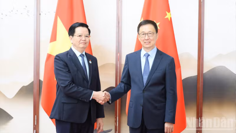 El vice primer ministro vietnamita Mai Van Chinh se reúne con el subjefe del Estado chino Han Zheng. (Foto: Nhan Dan)