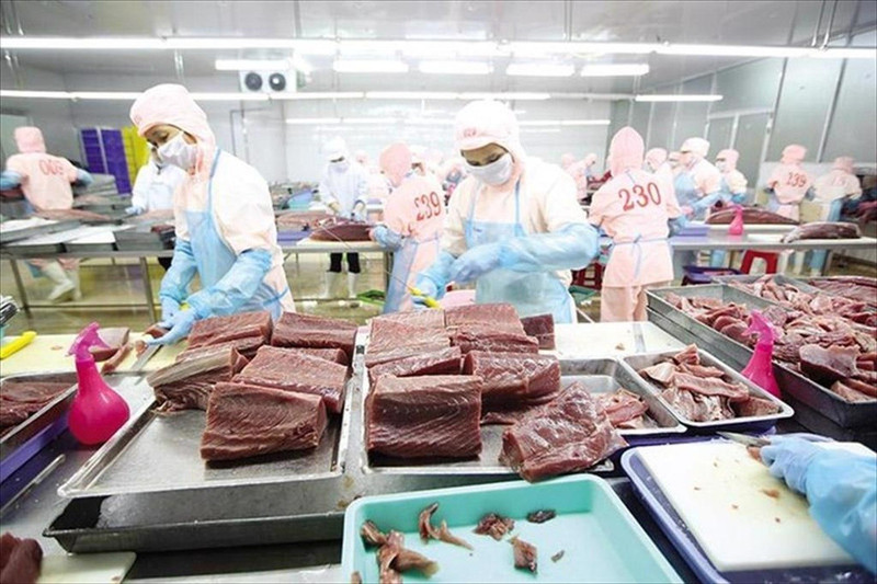 Foto de ilustración. (Fuente: Asociación de Procesadores y Exportadores de Productos del Mar de Vietnam)