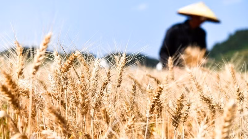 Foto de ilustración. (Fuente: Xinhua)