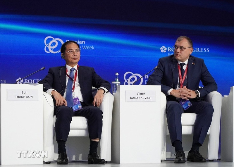 El viceprimer ministro vietnamita Bui Thanh Son (izquierda) participa en la cita. (Foto: VNA)
