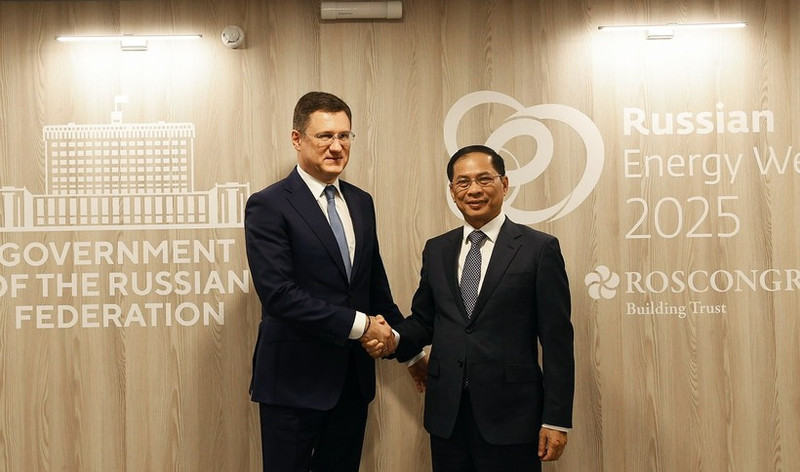 El viceprimer ministro vietnamita Bui Thanh Son (derecha) se reúne con su homólogo ruso, Aleksandr Novak. (Foto: Nhan Dan)