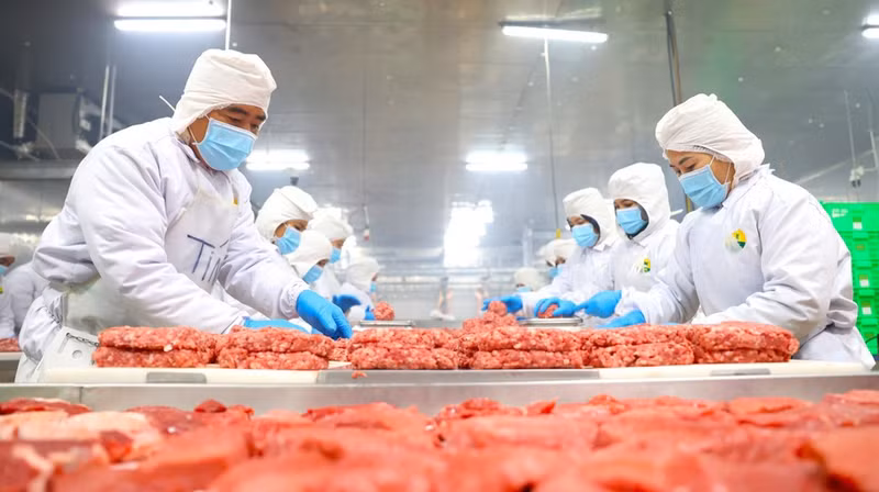 La carne de res de la compañía Pacow International es muy apreciada en el mercado halal gracias a su estricto cumplimiento de las normas de higiene, los procedimientos de sacrificio y la transparencia en la cadena de suministro.