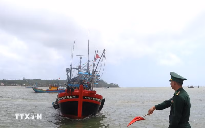 La fuerza de guardia fronteriza inspecciona los buques al entrar y salir de un puerto. (Foto: VNA)