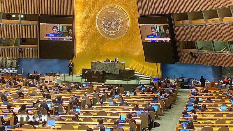 Un representante de la delegación vietnamita interviene en el acto de ratificación de la Convención de Hanói, celebrado en la tarde del 24 de diciembre de 2024 ante las Naciones Unidas. (Foto: VNA)