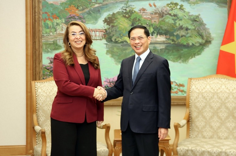 El viceprimer ministro de Vietnam Bui Thanh Son recibe a Ghada Waly, subsecretaria general de las Naciones Unidas. (Foto: VGP)