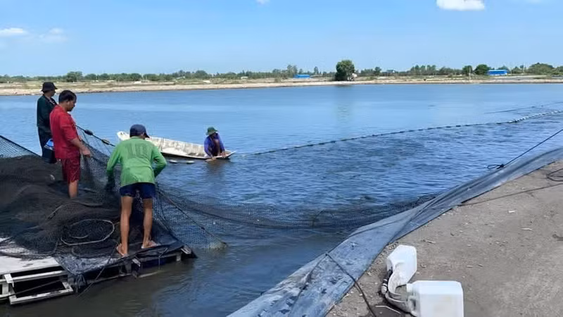 Vietnam y Australia refuerzan innovación en agricultura sostenible. (Foto: Nhan Dan)