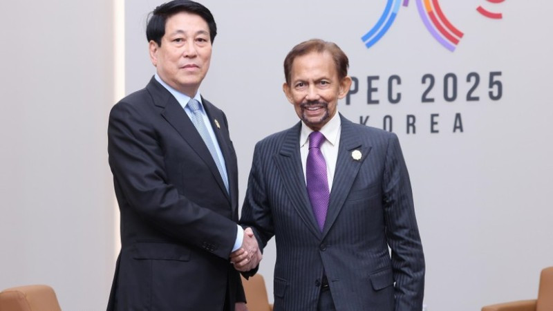El presidente de Vietnam, Luong Cuong, y el sultán de Brunéi, Haji Hassanal Bolkiah, se reúnen durante la Cumbre de Líderes Económicos del Foro de Cooperación Económica Asia-Pacífico 2025, en Corea del Sur. (Foto: VNA)