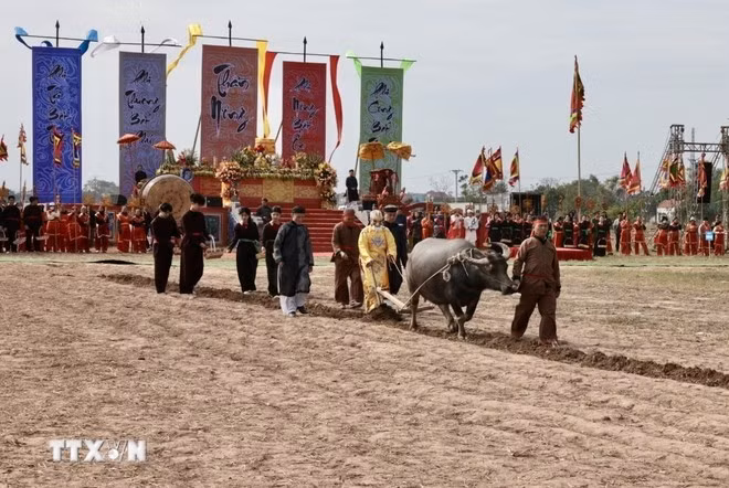 Festival de Tich Dien Doi Son. (Foto: VNA)