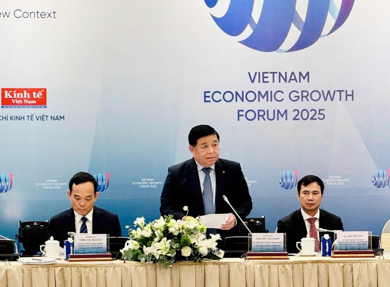El vice primer ministro vietnamita Nguyen Chi Dung interviene en la cita. (Fotografía: VGP)