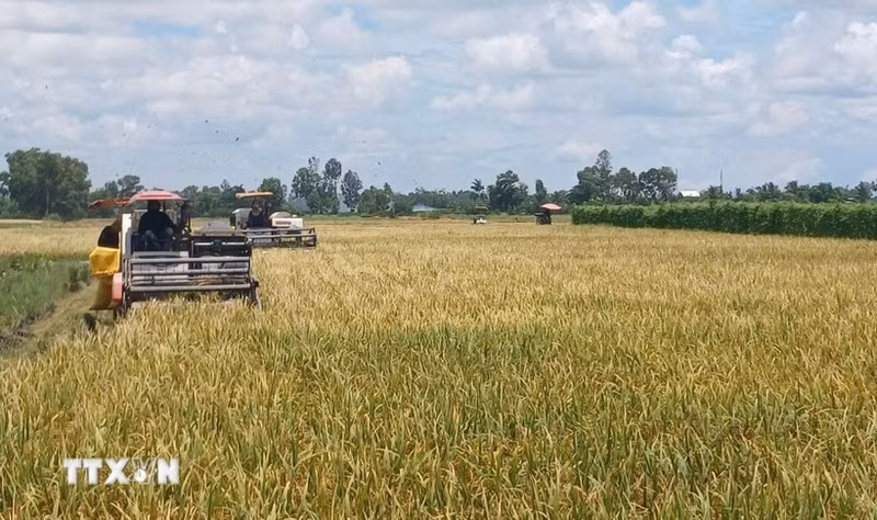 Foto de ilustración. (Fuente: VNA)