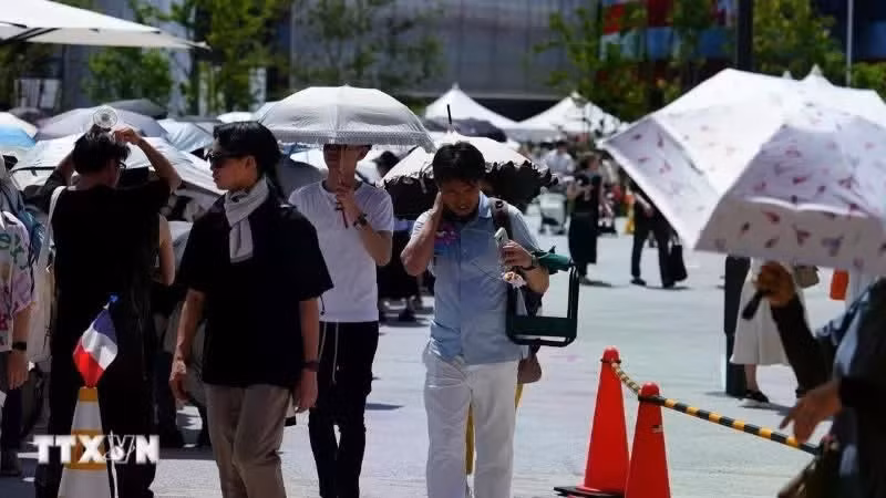 Transeúntes en Osaka (Japón) se resguardan bajo sombrillas. (Foto: Xinhua/VNA)