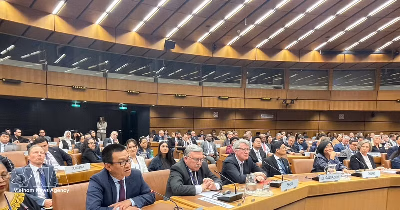 El embajador Vu Le Thai Hoang, jefe de la misión permanente de Vietnam ante la ONU y las organizaciones internacionales en Viena. (Foto: VNA)
